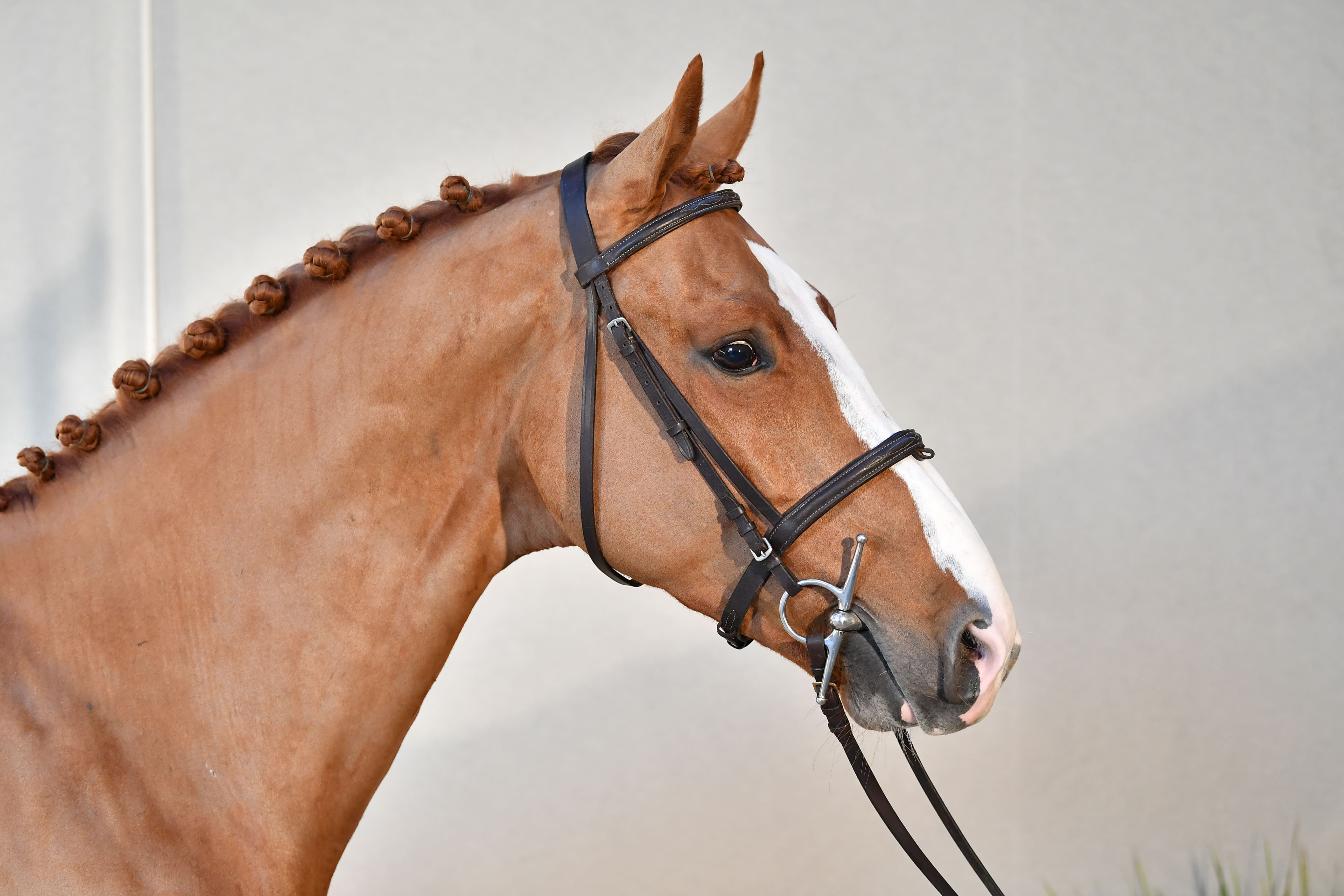 HORS SERIE DU MOULIN