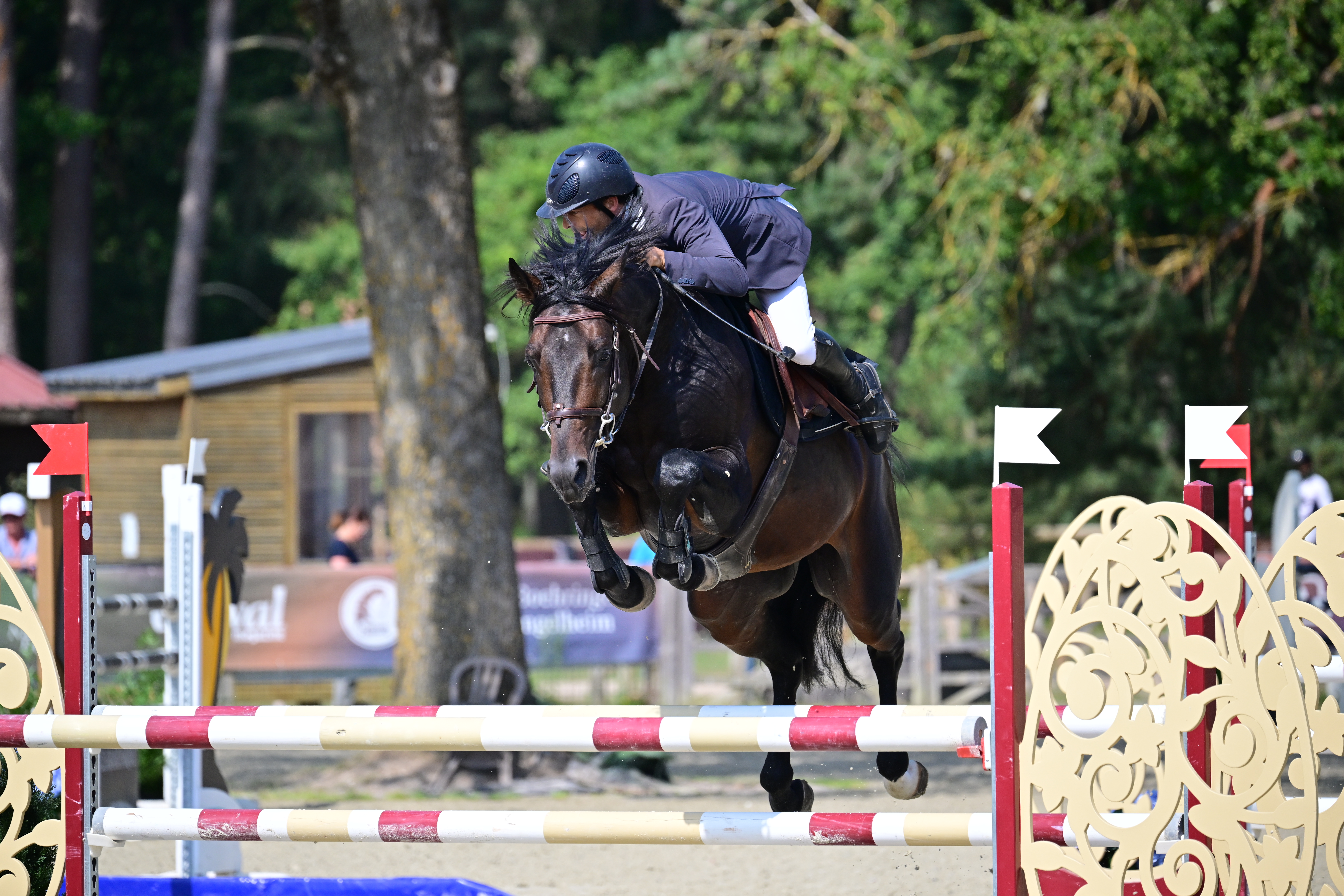 JUMPER DES GREZILS