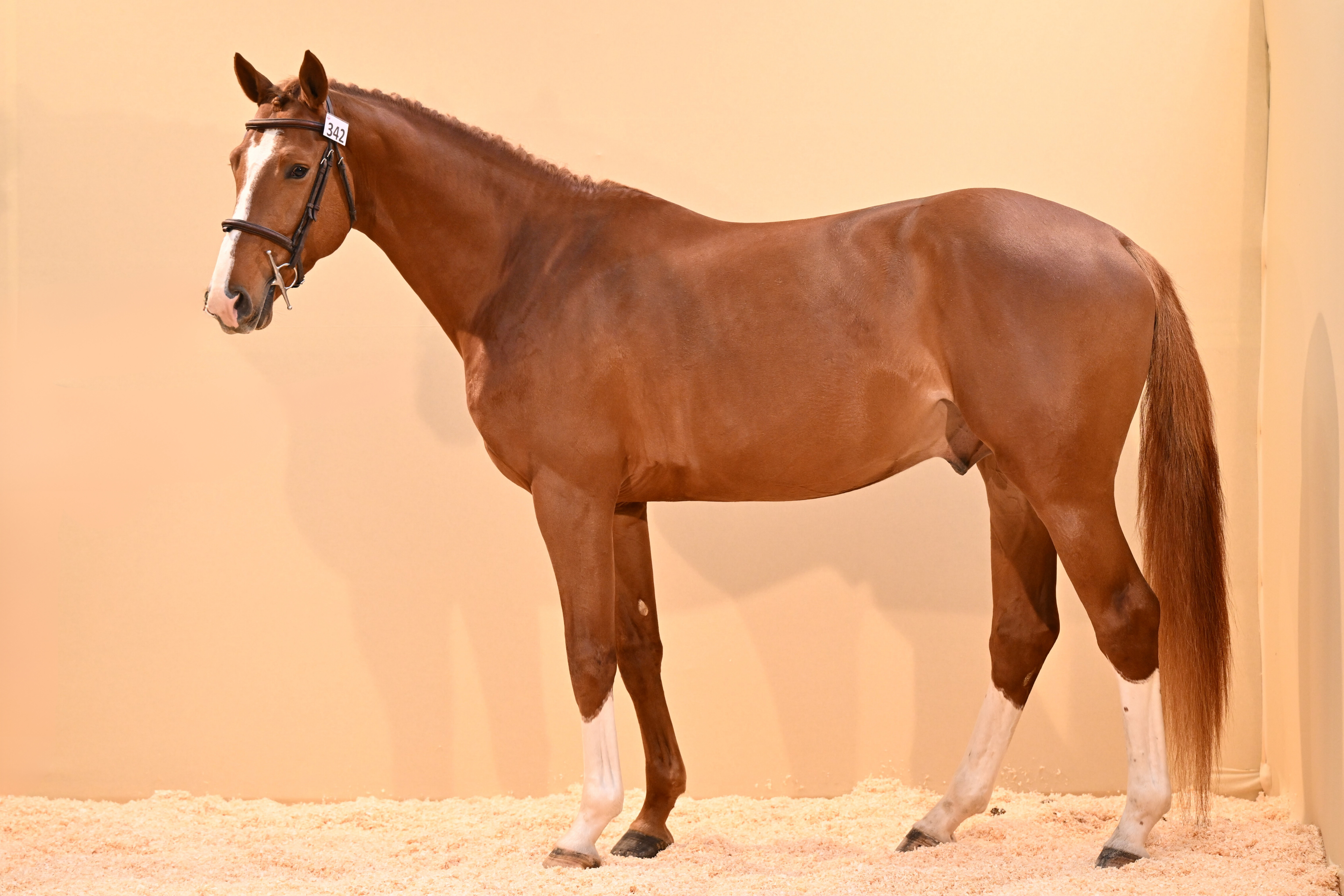 KHARJO DE SCIOTO