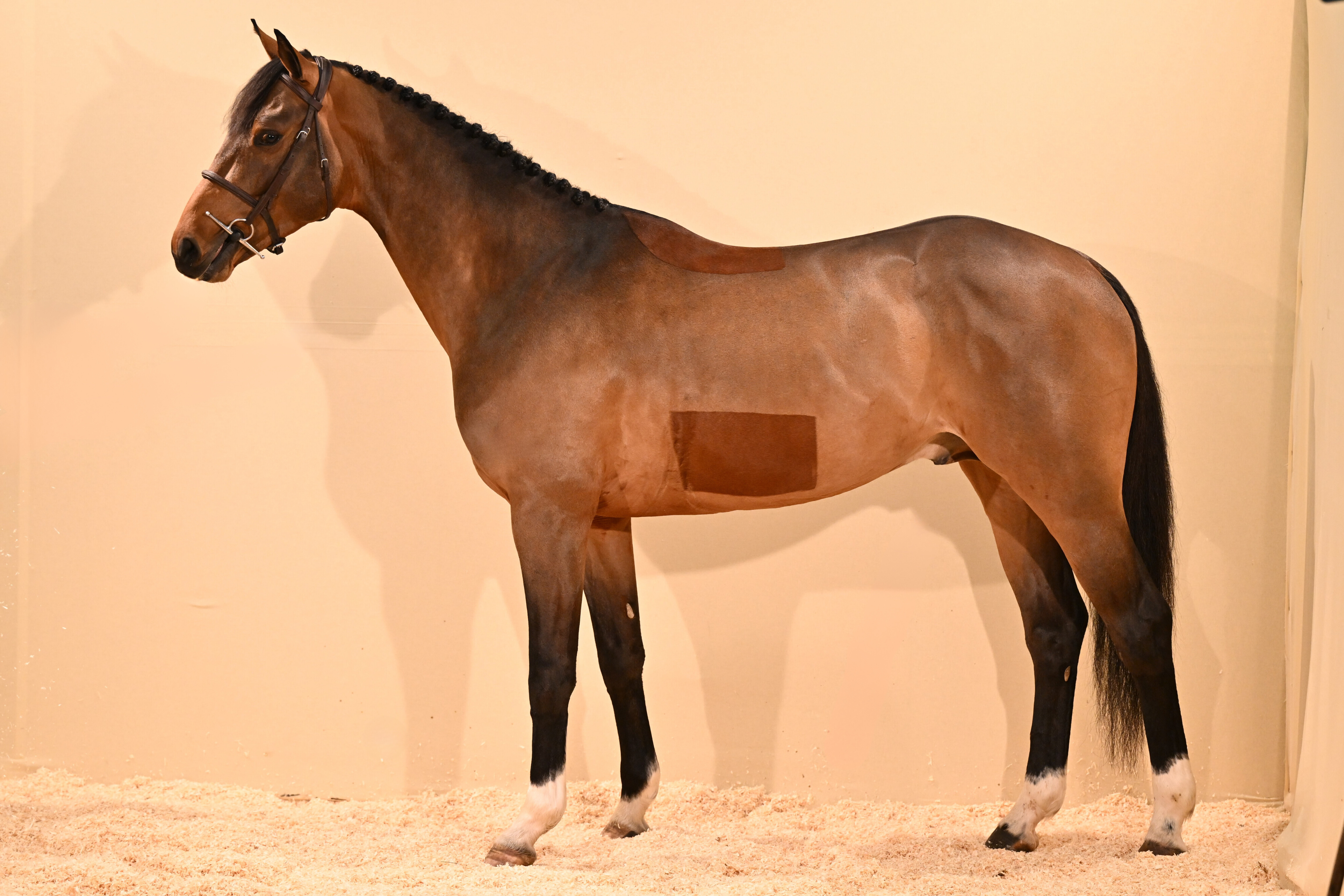 KONTE DU LINON