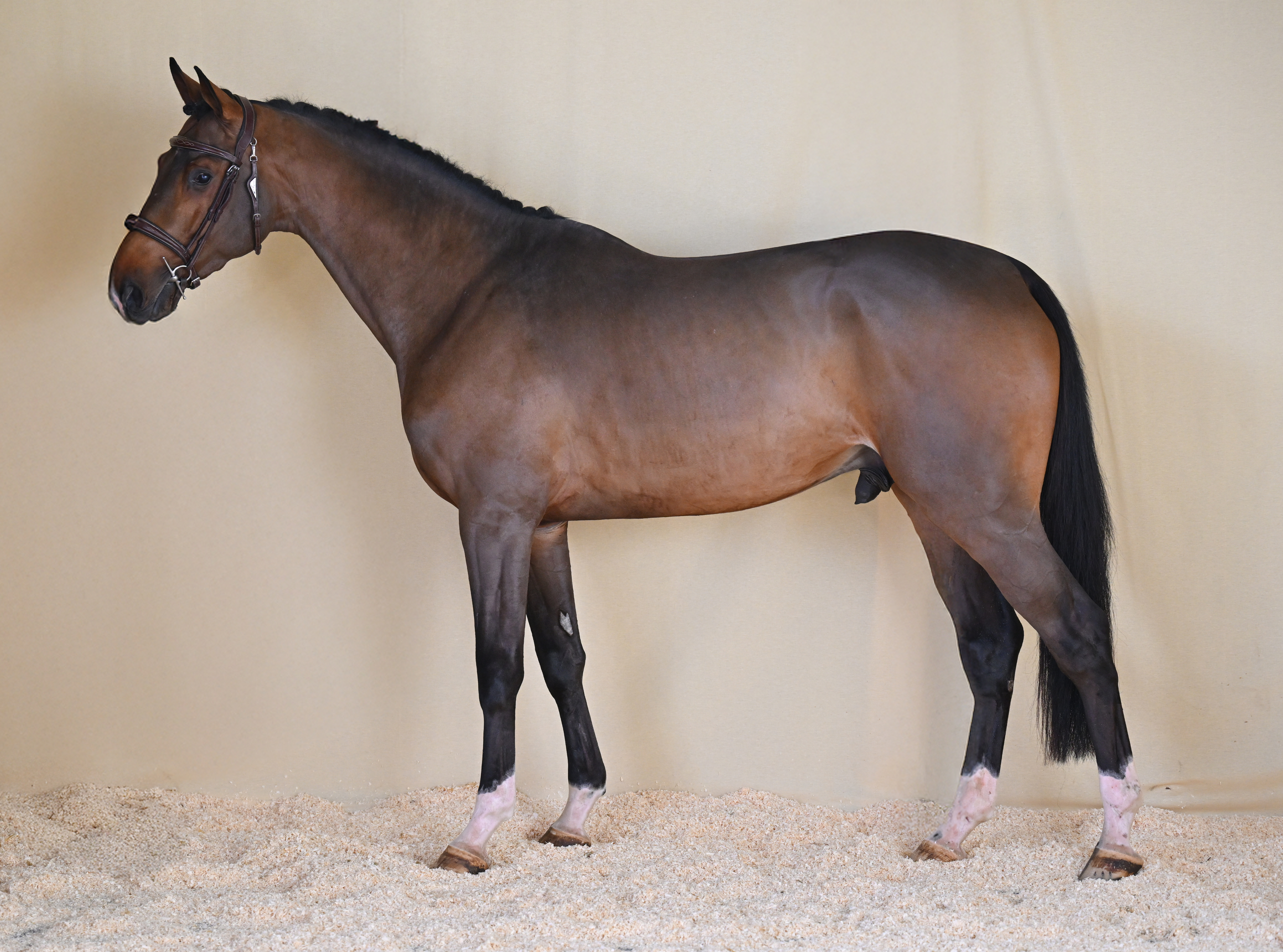 LOVEKEY DE RIVERLAND