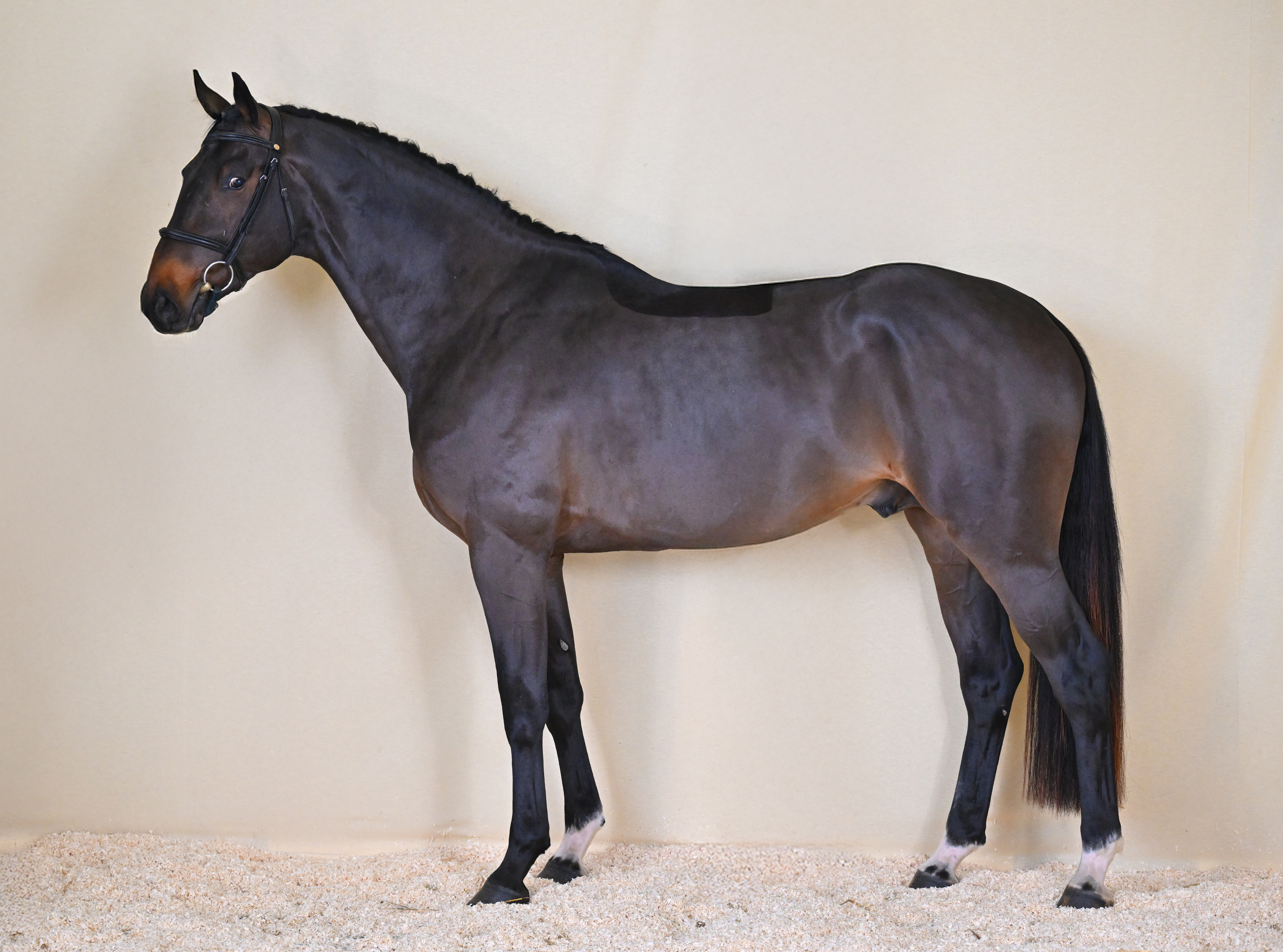 LARTISTE DE BEAUFOUR