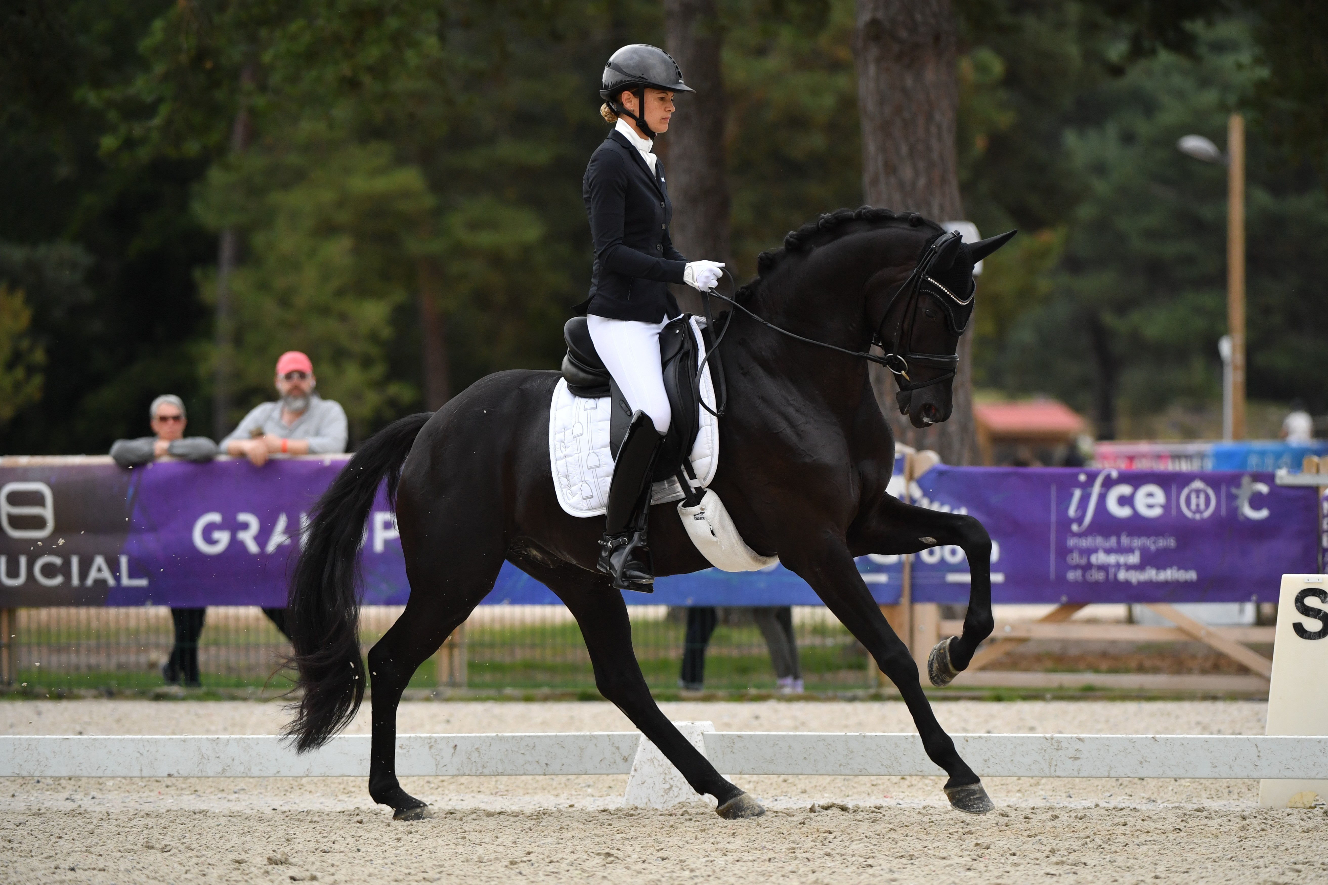 MAXIMUS JUNG HP DU WINCKEL