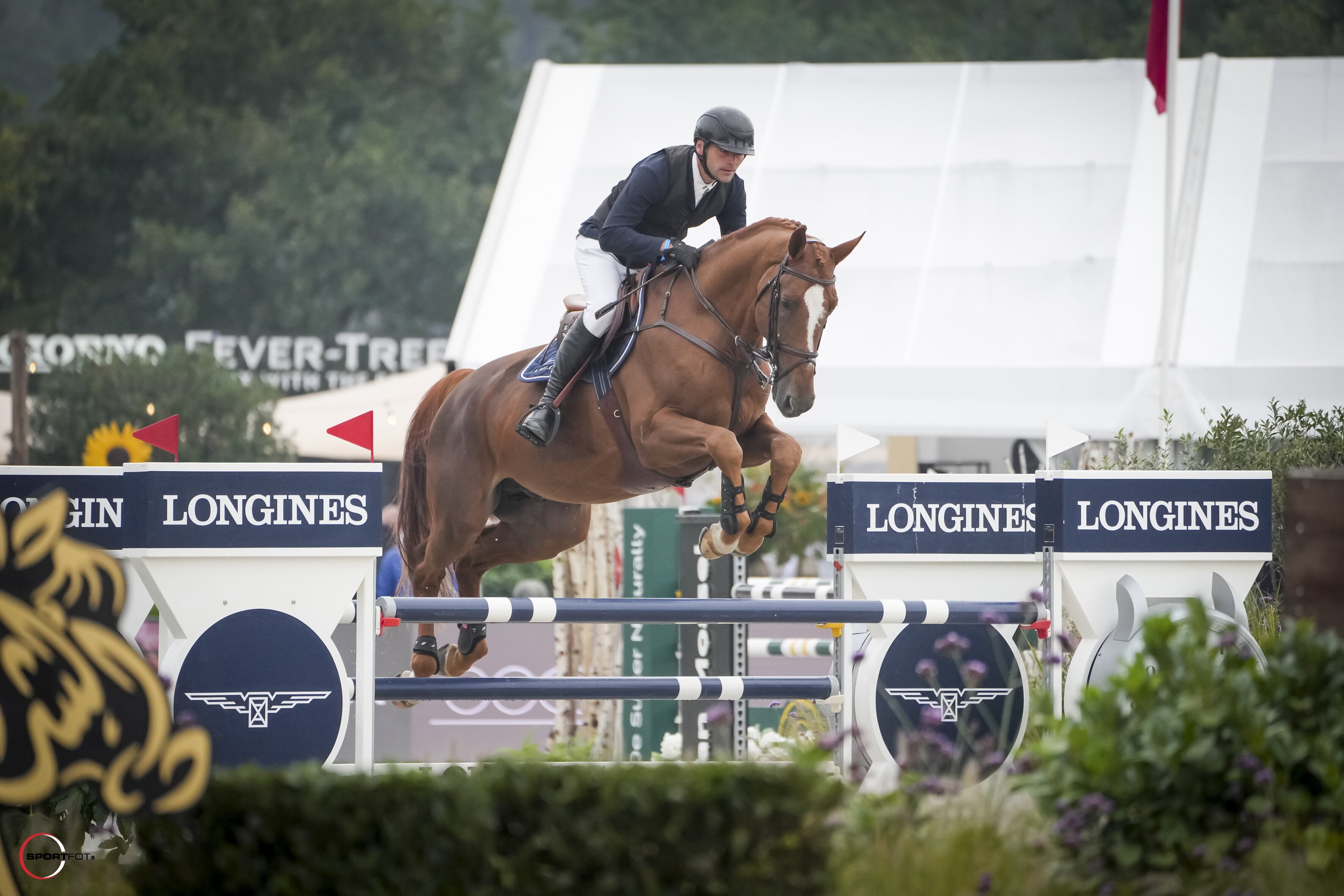 IDEAL STE HERMELLE