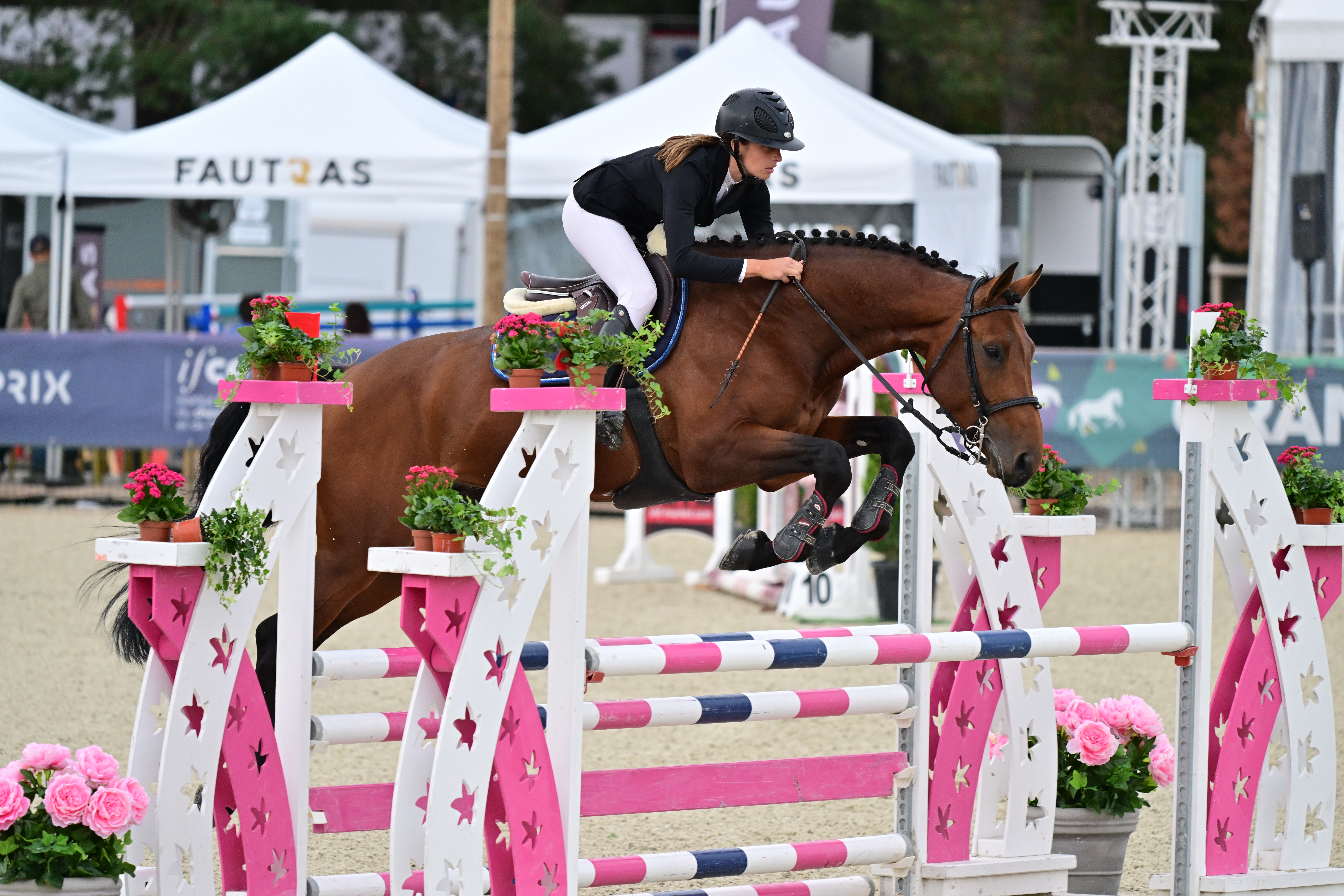 JUMPY DE LA MESLOIRE